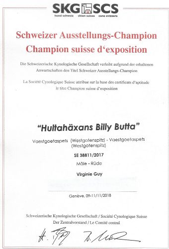 CH. hultahÄxans Billy butta