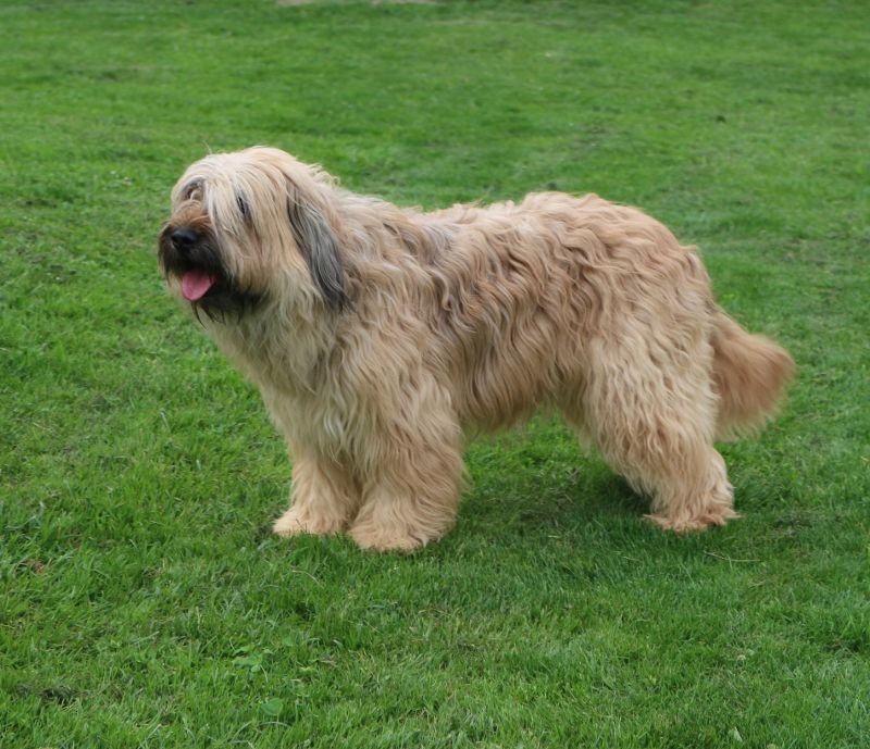 Lisbonne Des coeurs d'alène