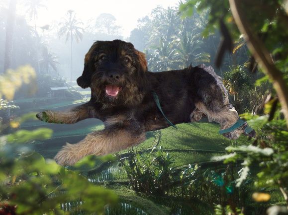 Maia do monte do restolho