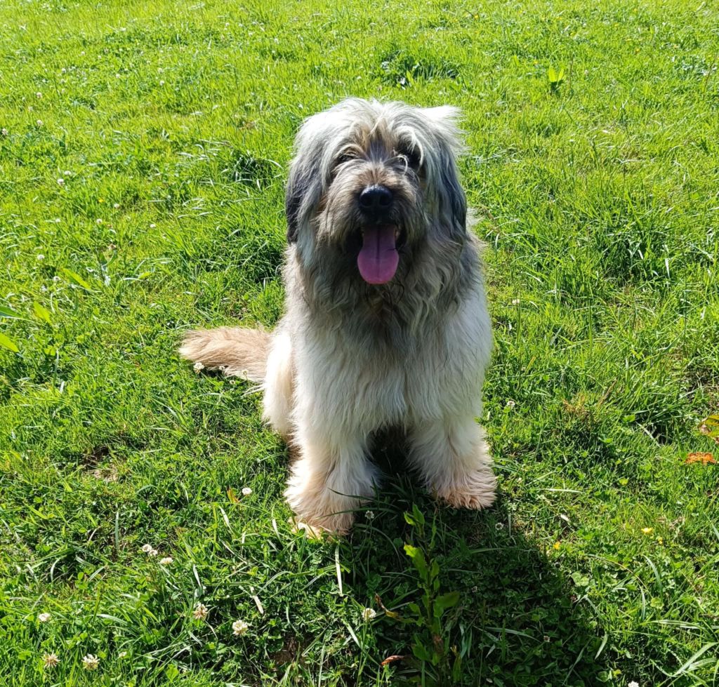 jolly-dollyn Candy man can