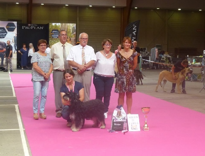 REGIONALE D'ELEVAGE 2015 